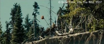  Photogramme 79  :  Into The Wild,  plan 1458. il voit de l'autre côté du fleuve, le bonnet orange qu'il avait lui-même posé sur la cime d'un arbre au plan 60.