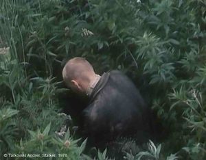 Stalker, Photogramme - 25 : Plan 46.  Au milieu des herbes hautes, le Stalker s’agenouille. Est-ce un témoignage de vénération ?