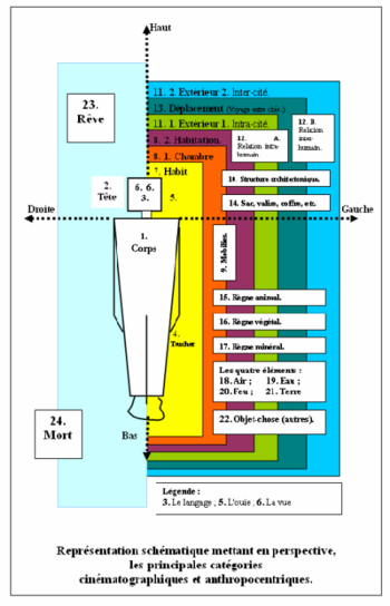 Représentation schématique mettant en perspective, les principales catégories cinématographiques et anthropocentriques.