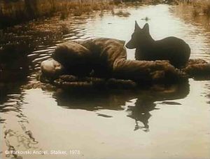 Stalker, Photogramme : Plan 83.  Le chien noir s’approche du Stalker, et vient se coucher contre lui.