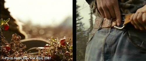 Into the Wild, plan 1072.  Une image qui montre la cause et l'effet : à gauche, Christopher cueille des plantes, à droite, il constate que son pantalon ne tient plus, et va serrer sa ceinture.