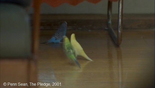 Fichier:The Pledge Sean Penn 04 Oiseaux sans cage 46 05.jpg