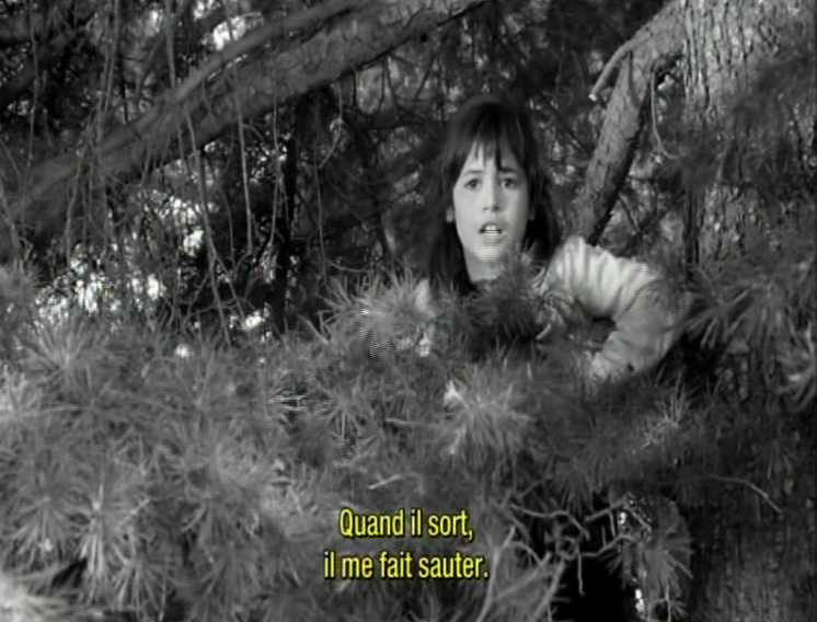Fichier:Viridiana8 Bunuel Rita dans l'arbre 00 04 50.jpg
