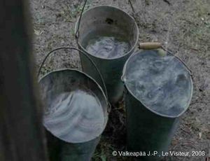 Le Visiteur, photogramme 24, plan 50, il pleut abondamment, trois seaux d'eau sont posés à l'extérieur, sur la terre humide, pour récolter l'eau de pluie. En apparence l'image est banale, mais en apparence seulement, car plusieurs indices se prolifèrent et annoncent un certain nombre de faits.