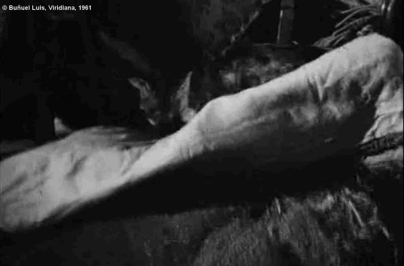 Fichier:Chat Viridiana47 Bunuel 1h 04 45 1500p.jpg