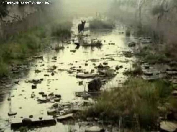 Stalker, plan 79. Première apparition du chien noir dans la Zone.