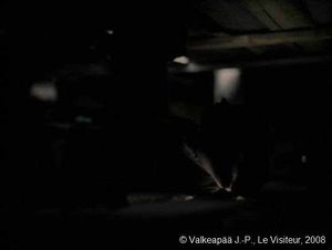 Le Visiteur, (Muukalainen), photogramme - plan 19', l'Enfant retire une espèce de bouchon situé sur la surface du plancher, et regarde à travers le trou. Toutefois, nous ne saurons pas, encore, ce qu'il regarde.