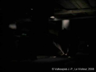 Le Visiteur, (Muukalainen), photogramme - plan 19', l'Enfant retire une espèce de bouchon situé sur la surface du plancher, et regarde à travers le trou. Toutefois, nous ne saurons pas, encore, ce qu'il regarde.