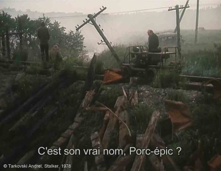 Fichier:Stalker Tarkovski Plan 44 c Zone Porc epic.jpg