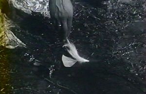 Photogramme - Plume 5 : Nostalghia, Plan 18. Le Poète ramasse une plume blanche qui vient de tomber à ses pieds. Première allusion et "annonciation" de l'acte héroïque du Poète.