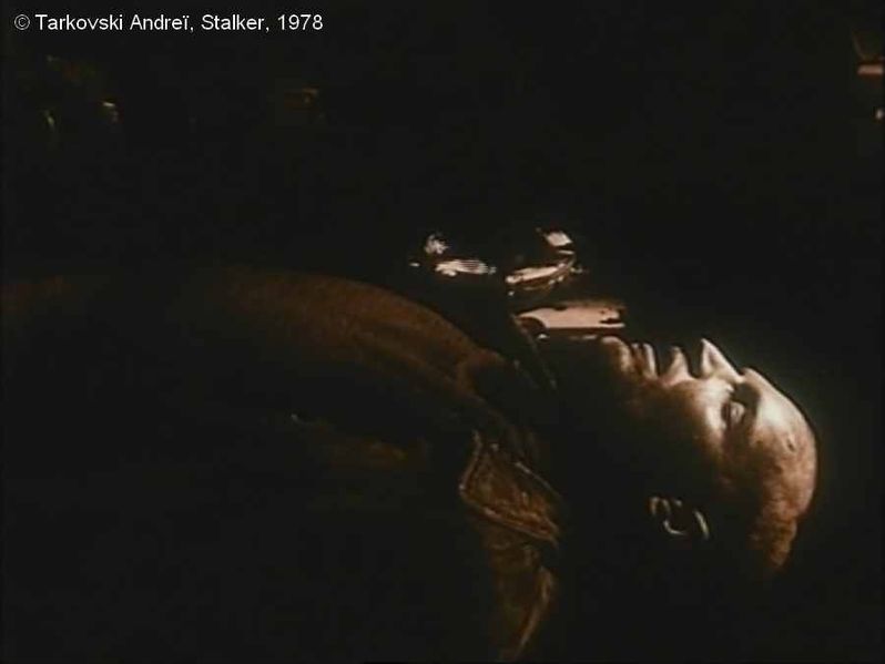 Fichier:Stalker Tarkovski Plan 141c chien noir.jpg