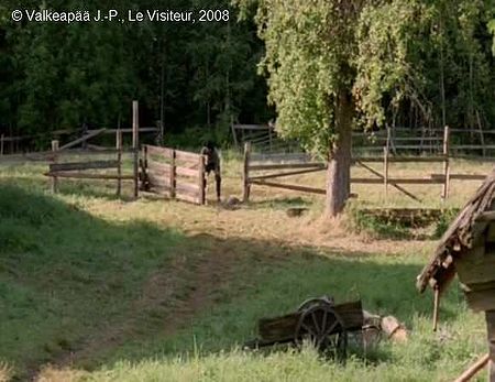 Le Visiteur, photogramme 65, plan 223, le Visiteur ne s'arrête pas là. Il continue de prendre des initiatives. Il décide de réparer la barrière d'un enclos. Il y parvient sans grande difficulté. L'Enfant observe la scène de loin.