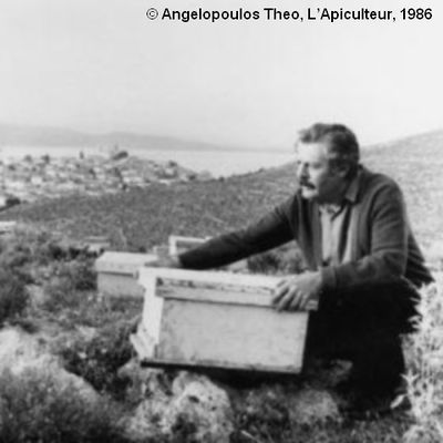 Photogramme : Apiculteur (L'), de Theo Angelopoulos.