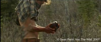 Photogramme 57 : Into The Wild, Plan 1192. L'odeur du dépeçage est insupportable. Il dispose de sa chemise autour du nez, pour ne pas sentir les odeurs. Il commence à extraire le cœur de la bête. C'est peut-être l'une des images qui traduit au mieux le fait d'être « au cœur de la vie sauvage ».