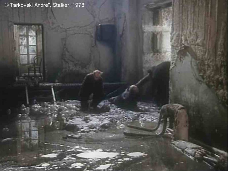 Fichier:Stalker Tarkovski Plan 130 Trébuchement Ecrivain.jpg