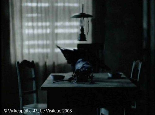 Le Visiteur (Muukalainen), photogramme 118, plan 581, l'Enfant traverse la cuisine, il trouve trois corbeaux qui vraisemblablement picoraient des graines sur la table. Lire la suite.